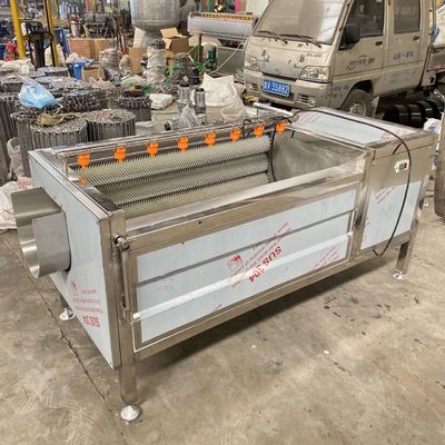 500kg/h λαχανικό πλυντηρίων φυσαλίδων μηχανών αποφλοίωσης μαλλιού καρότων rolle και καθαρίζοντας γραμμή επεξεργασίας μηχανών φρούτων φυτική