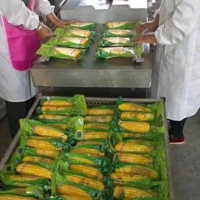 SS304 διπλή μηχανή συσκευασίας αιθουσών κενή DZ 500 DZ 600