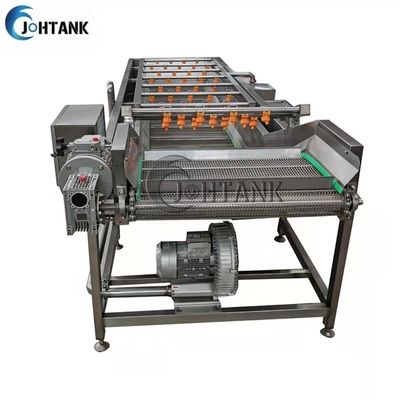 Βιομηχανική αυτόματη καθαρίζοντας μηχανή πλύσης λαχανικών και φρούτων για τη σαλάτα ντοματών